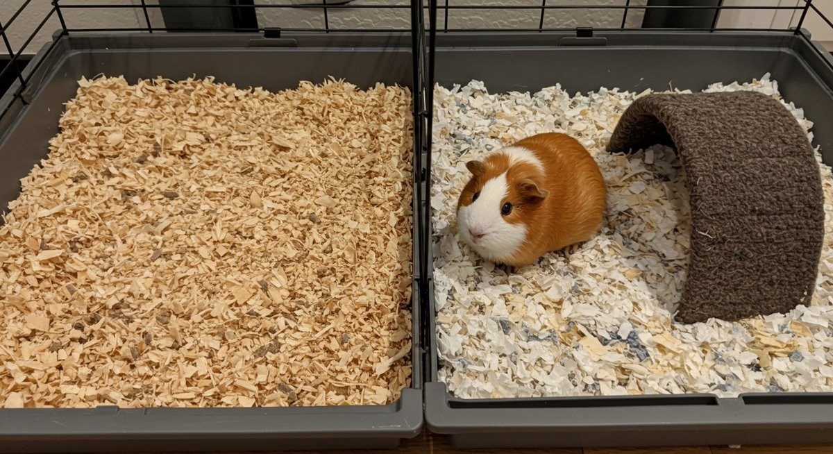 モルモット 床材