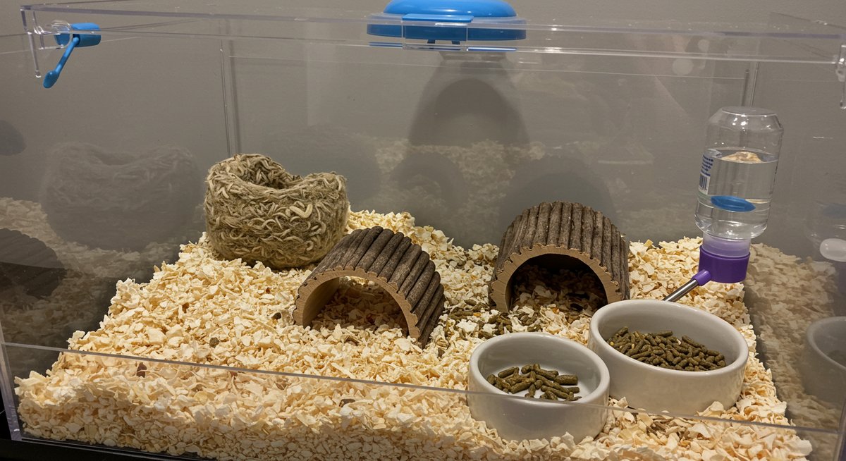 ハムスター 子食い