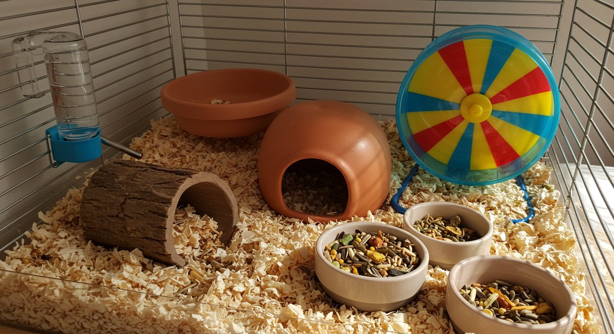 ハムスター しっぽ 長い