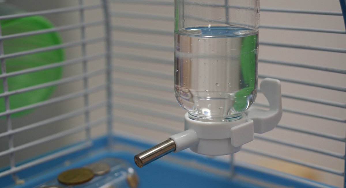 ハムスター 給水 器